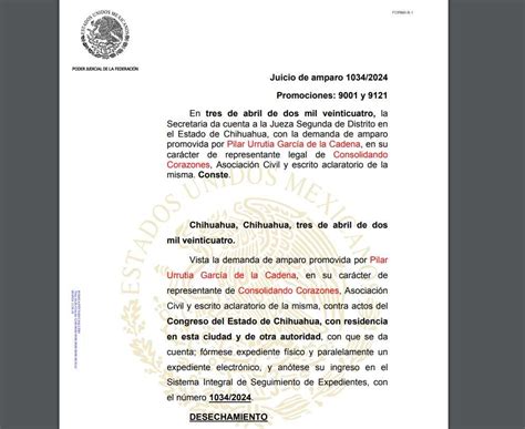 Desechan Demanda De Amparo Contra Elecci N De La Cedh El Bordo