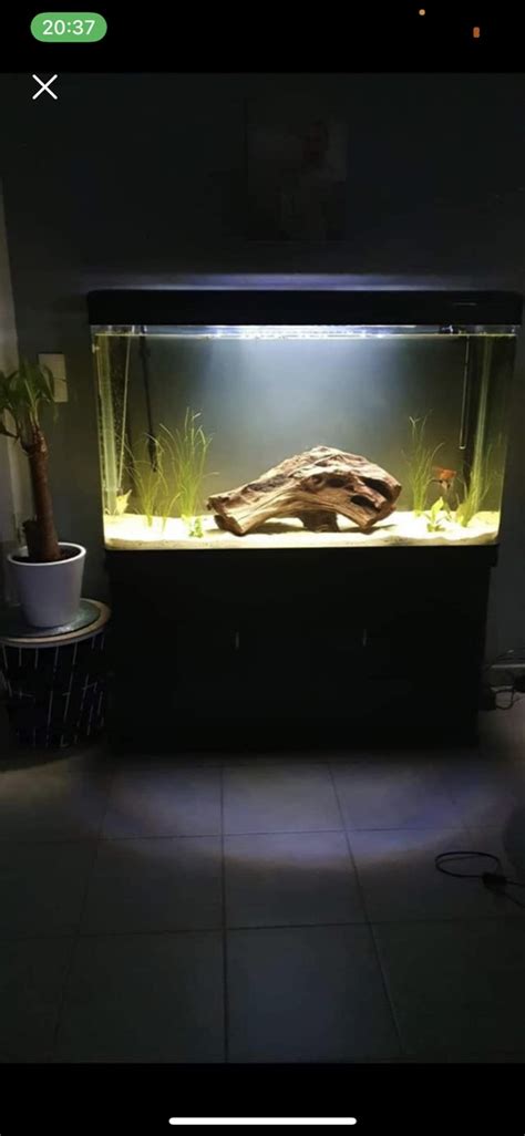 Nouveau Projet Aquarium 300 Litres