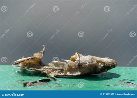 O Corpo E O Esqueleto De Um Peixe Podre Morto Restos De Comida O