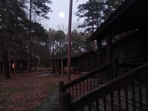 Field Trip to a Spooky Swamp at Caddo Lake State Park - Field Trip Texas