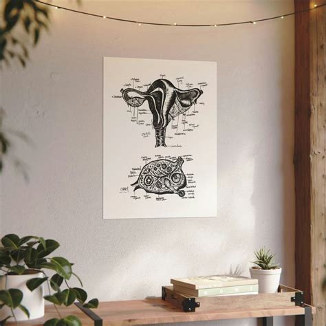 Uterus Anatomy Print Diagram Female Reproductive Labor Delivery Nurse