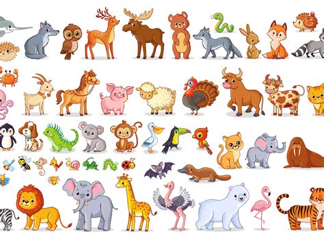 Animals Pictures With Names 10