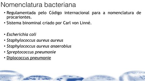 Solution Morfologia Estrutura E Reproduc A O Das Bacte Rias Studypool