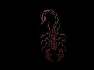 Tribal Scorpion Wallpaper On Wallpapersafari