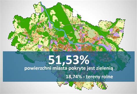 Ponad połowa Wrocławia jest zielona archiwum Wroclife pl