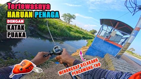 Casting Haruan Awas Jangan Terkena Pencawang Tnb Ikan Banyak Tue