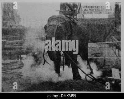 Topsy elephant death electrocution at luna park 1903 Stock Photo - Alamy