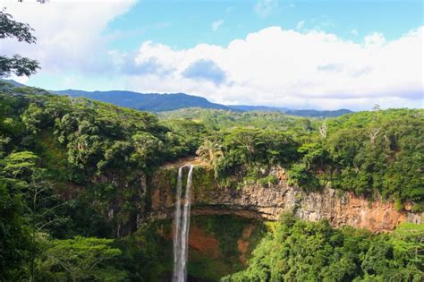 Descubra as Maravilhas da Amazônia Ecoturismo no Brasil Esteja