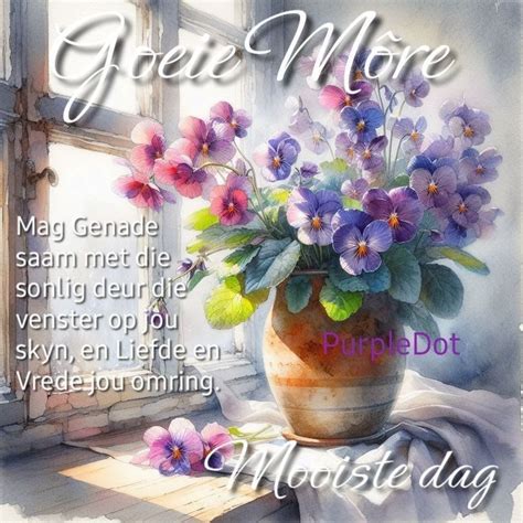 Pin on Goeie môre Mooi Mooiste dag in 2024 Good morning greetings