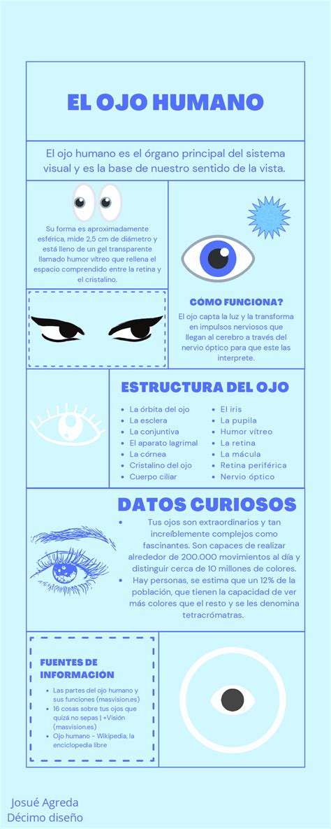 Campeonato Exactamente Radio Infografia Del Ojo Humano Creo Que