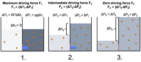 How forward osmosis works | ForwardOsmosisTech