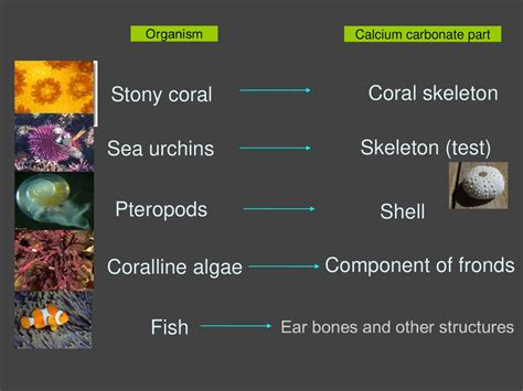 currents waves  properties  water