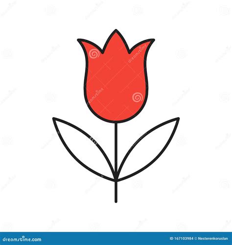 Tulip Linear Icon Stock Vector Illustration Of Flower 167103984