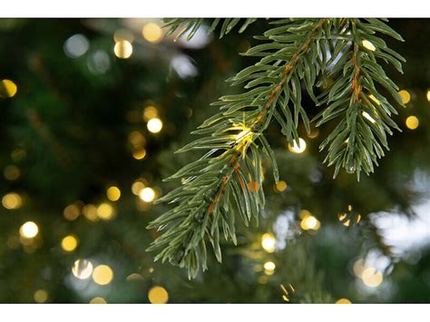 Sapin de Noël à LED avec guirlande 3000 LED Sapins artificiels Pearl fr