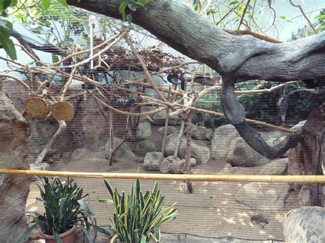 Rio Grande Zoo Species List - November 2021 [ABQ BioPark Zoo] - ZooChat