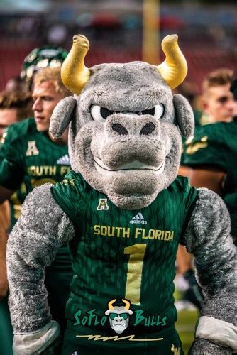 149 – Elon vs. USF 2018 – USF Mascot Rocky the Bull by Dennis Akers | SoFloBulls.com (3631×5439)