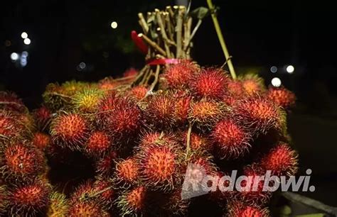 Dampak Cuaca Produksi Rambutan Menurun Radar Banyuwangi