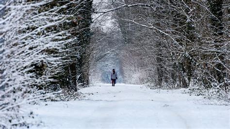 M T O Des Chutes De Neige Importantes Attendues Dans Les Alpes Ce