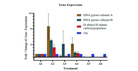 Quantitative Real Time PCR QRT PCR Analysis The Graph Shows Gene