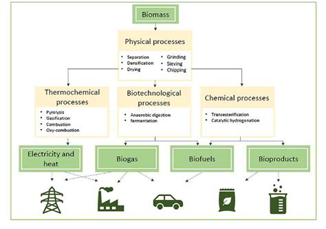 Overview of applications of biomass. | Download Scientific Diagram