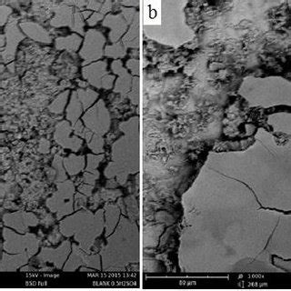 Sem Images Of Mild Steel Surface After Days Immersion At K In