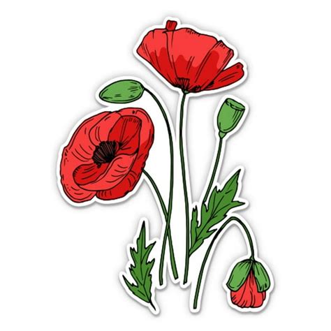 Poppies Drawing Red Field Flowers 12 Vinyl Sticker Waterproof Decal