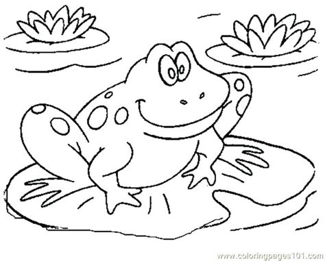 Amphibian Coloring Pages At Free Printable Colorings