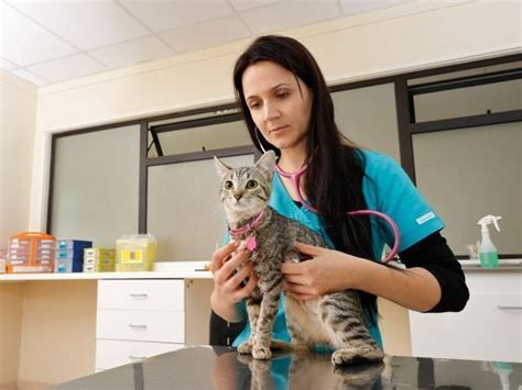 Inicio Facultad De Ciencias Veterinarias Uach