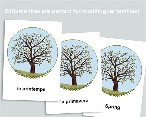 Editable Seasons Flashcards – Mornings Together