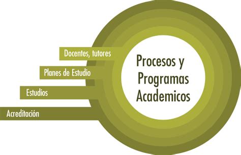 Procesos Y Programas Acad Micos Cuaieed