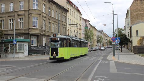 PL MZK Gorzów Wielkopolski Wegmann 6ZGTW 254 2 WIEPRZYCE