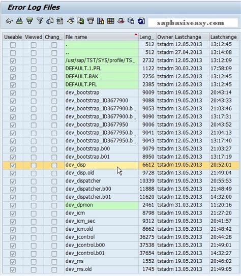 How To Monitor Sap Developer Trace Files Sap Basis Easy