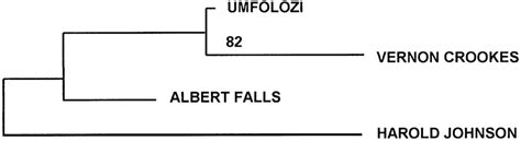 Nearest Neighbour Saitou And Nei 1987 Dendrogram Depicting Genetic