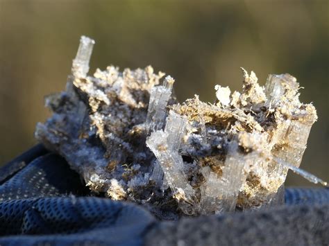 mas de  imagenes gratis de eis revue  eis pixabay