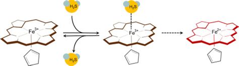 生理条件下三价铁血红蛋白和肌红蛋白与硫化氢的反应journal Of Inorganic Biochemistry X Mol