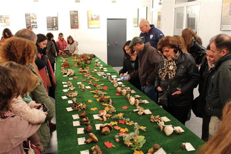 La micología protagonista del mes en Constantina llega el Noviembre