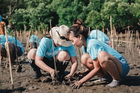 Community Based Reef Protection Grants Now Open Dcceew