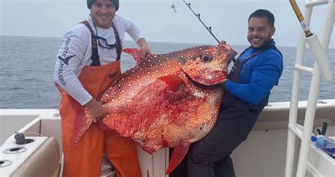 Giant Moonfish