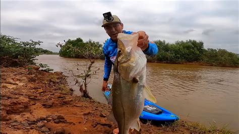 O Maior Robalo Peva Capturado E Registrado Por Mim Pescaria Em