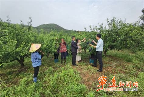 宁远县高素质农民培育工程结出累累硕果宁远县湖南频道红网