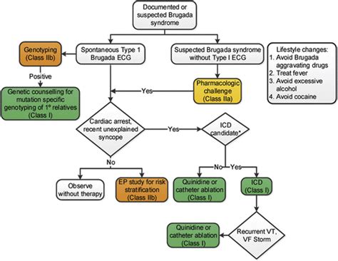 Aha Acc Hrs Guideline For Management Of Patients With Ventricular