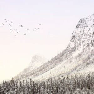 Mountain Sunrise Photography Print, Rustic Farmhouse Decor, Banff Canada Snow, Log Cabin Decor ...