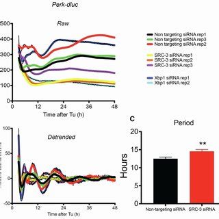 Figure S Real Time Luminescence Recording Of Non Targeting Src