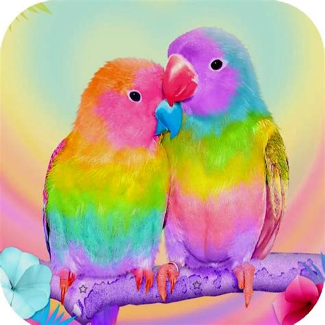 Parrot Wallpapers 4K App Analytics ASO Keyword Monitoring ASOTools