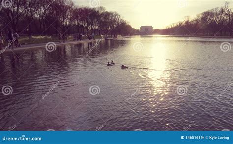 Sunset Reflecting Pool editorial stock image. Image of ducks - 146516194