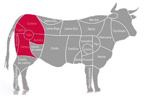 De qué parte del animal es cada corte de carne de vacuno Blog