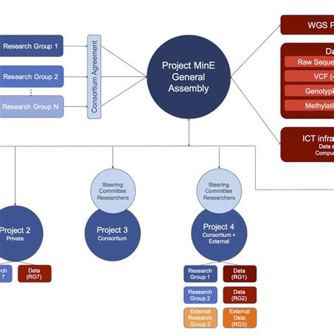 Consortium design. Consortium structure including funding agencies ...