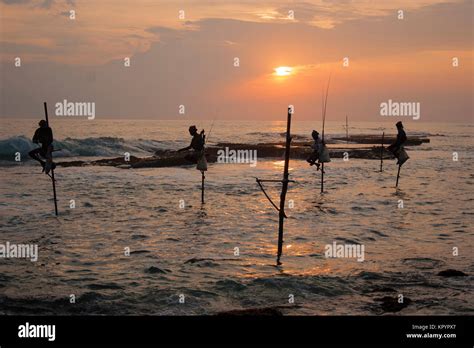 Traditional Stilt Fishing In Sri Lanka Stock Photo Alamy