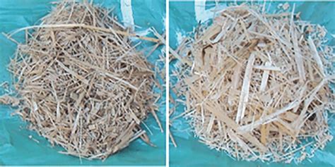 Plant fibers of bamboo and sugarcane respectively. | Download ...