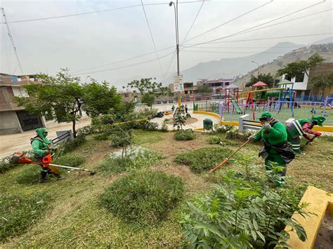 Mantenimiento De Las áreas Verdes En Nuestro Sector Municipalidad De Ate